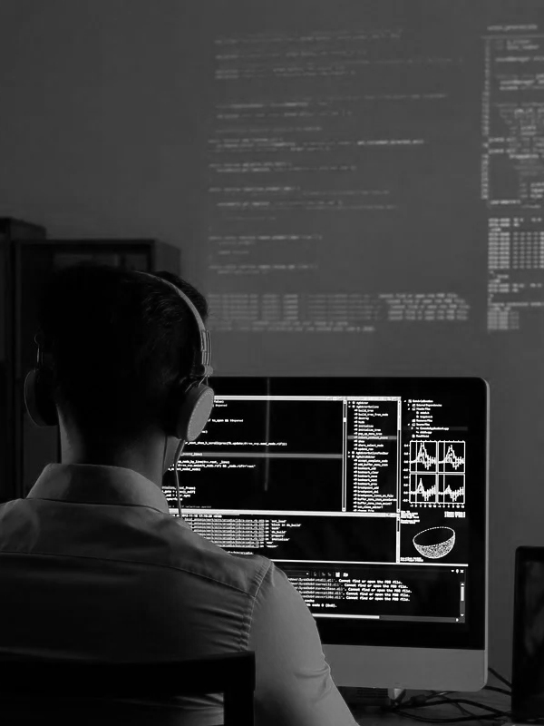 Technology specialist analysing software systems